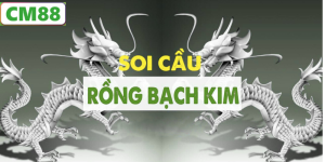 Cách soi cầu rồng bạch kim chuẩn xác nhất