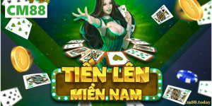 Giới thiệu về tiến lên miền nam