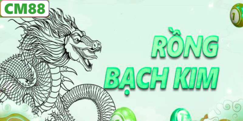 Rồng bạch kim là gì